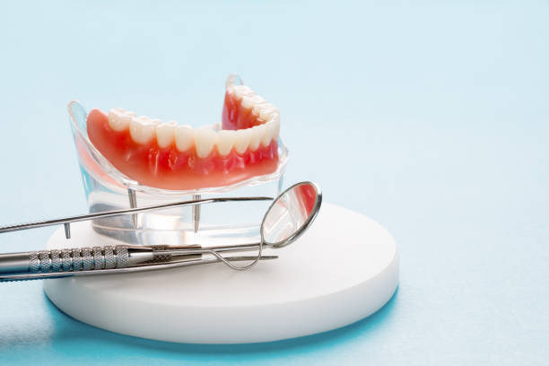 Professional Dental Services in Fox Island, WA